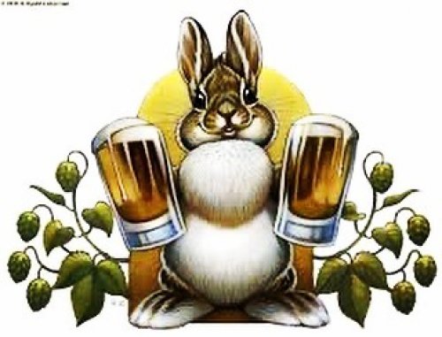 Photo post from northlandbrew.