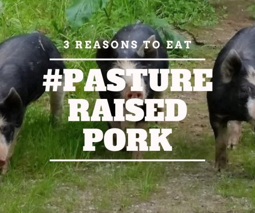 Photo post from hungryhollowfarm.