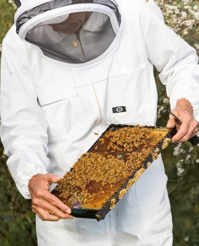 Photo post from comvita_au.