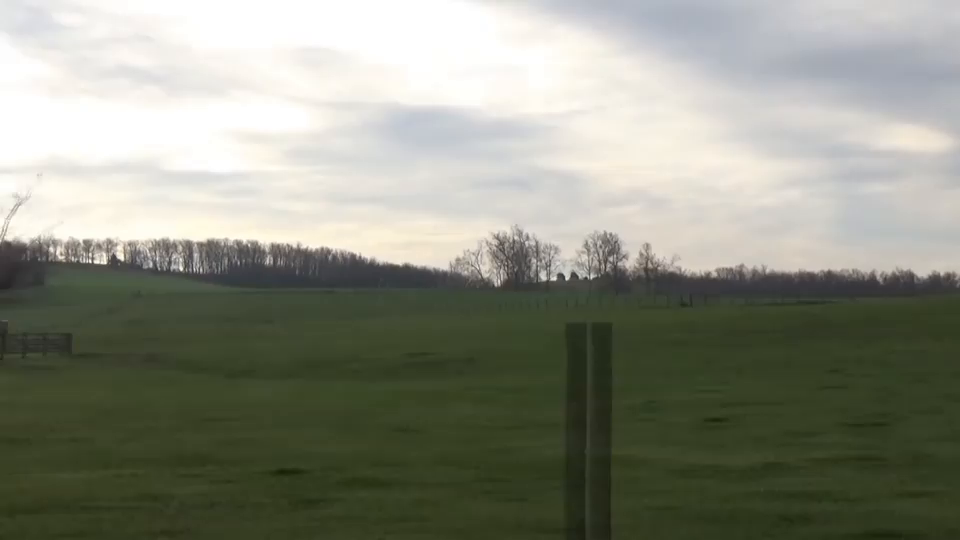 Video post from erichstem.