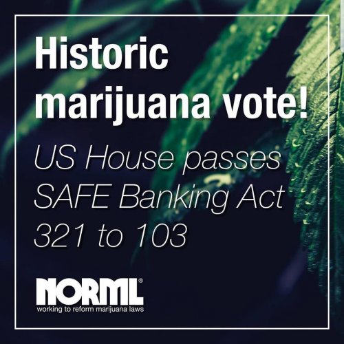 Photo post from kynorml.