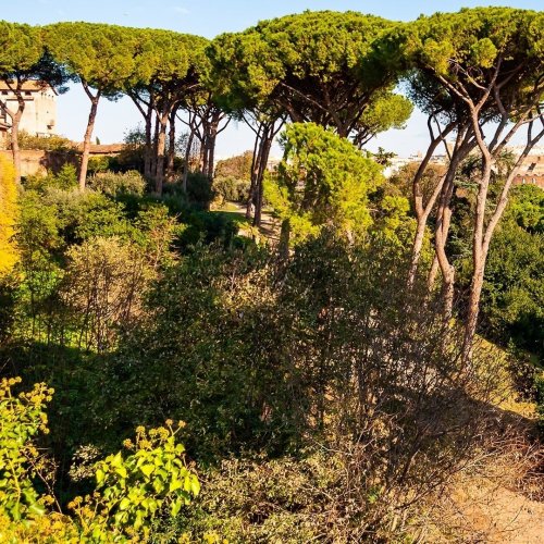 Photo post from aurrome.