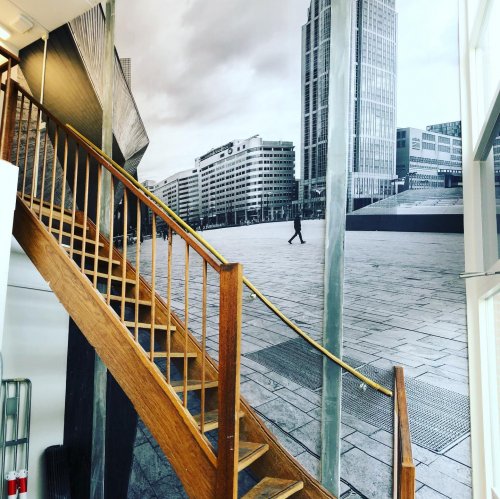Photo post from signkings.