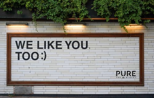 Photo post from purethewineryes.