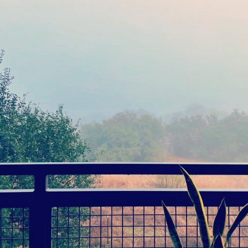 Photo post from highlineaustin.
