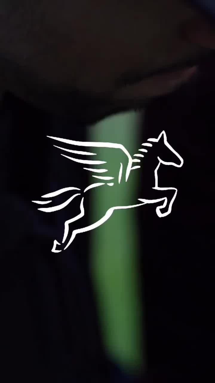 Video post from pegasus.pro.