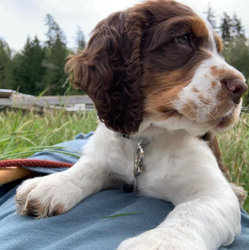 Photo post from hungryhollowfarm.