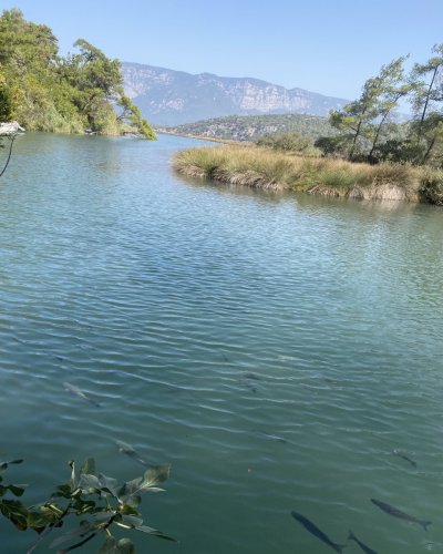 Photo post from jandewit.4848.