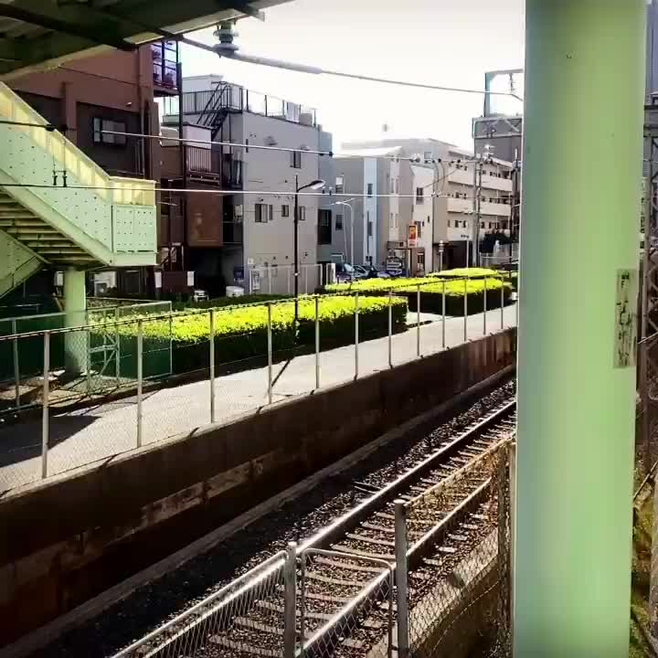 Carousel post from city_shibuya_official.