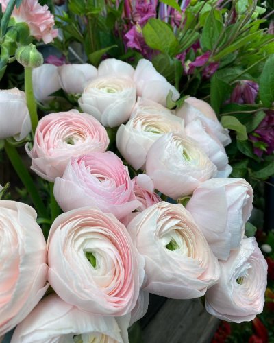 Photo post from blomsterborsen.