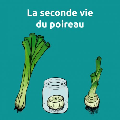 Photo post from ricardo_ch.fr.