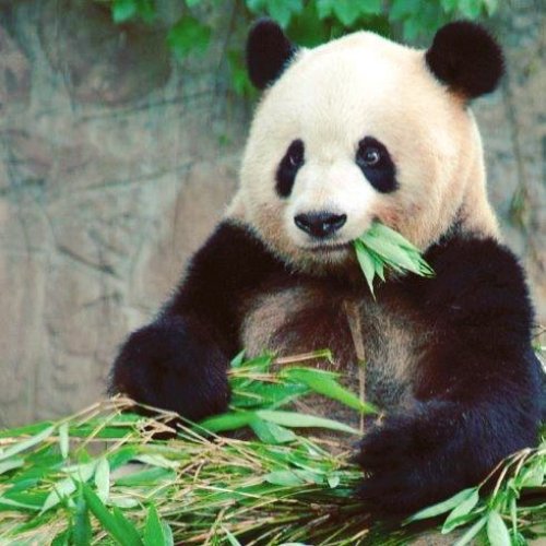 Photo post from taucktravel.