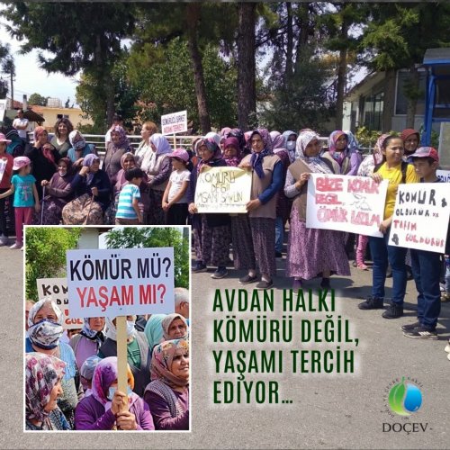 Photo post from dogavecevrevakfi.