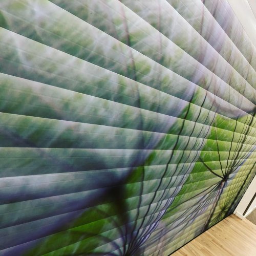 Photo post from signkings.