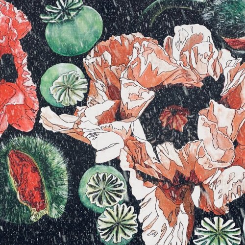 Photo post from freyaetthor.