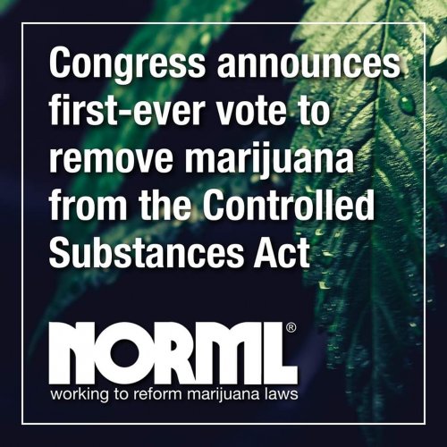 Photo post from kynorml.