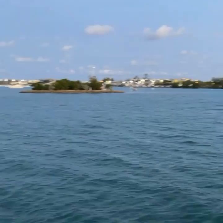 Video post from vistayachts.