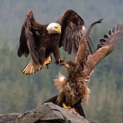 Photo post from taucktravel.