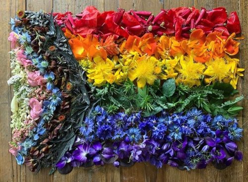 Photo post from travelportland.