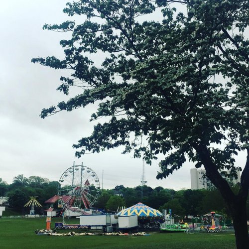 Photo post from dogwoodfestival.