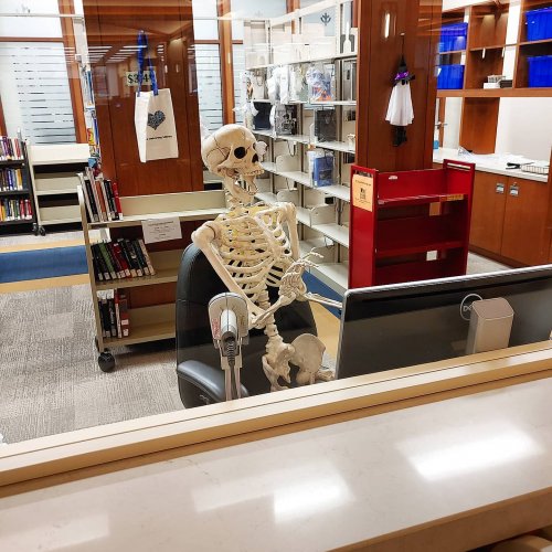 Photo post from depaul_library.