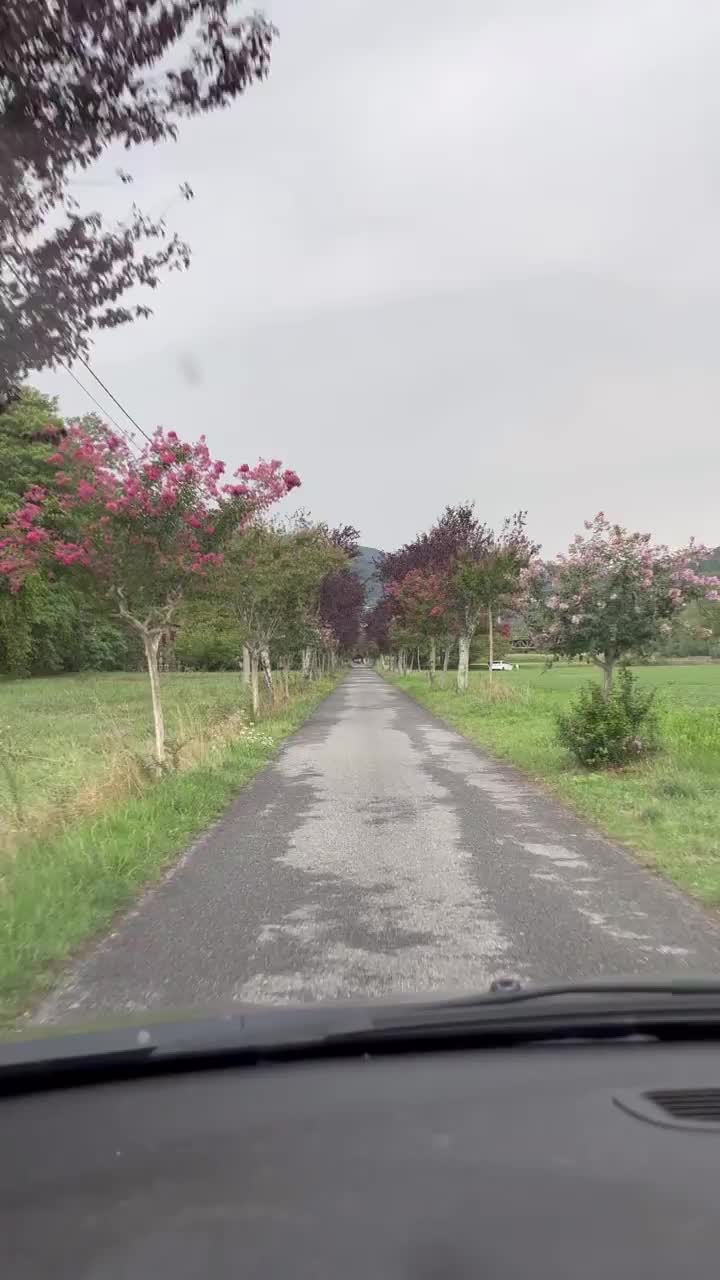 Video post from donatella.spizzico.