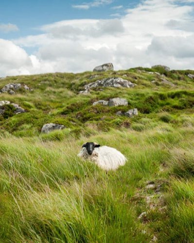 Photo post from taucktravel.