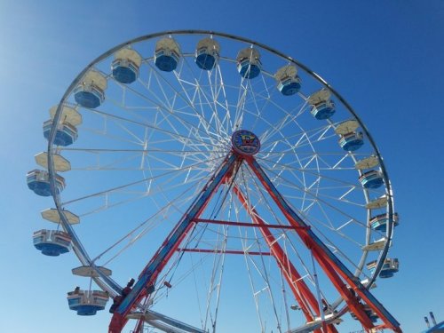 Photo post from dogwoodfestival.