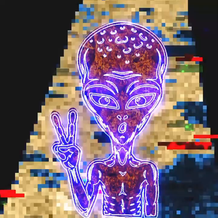 Video post from buzzle.art.
