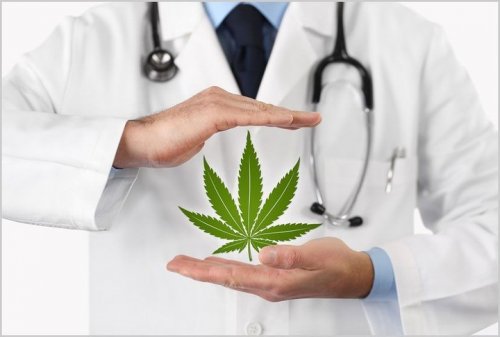 Photo post from kynorml.