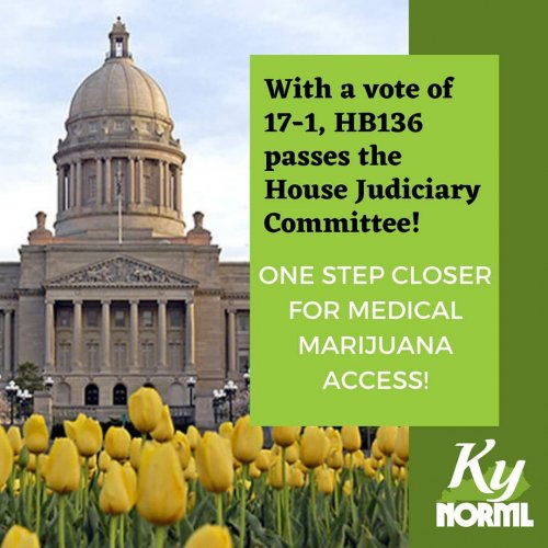 Photo post from kynorml.