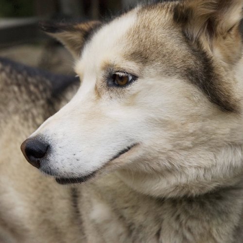 Photo post from taucktravel.