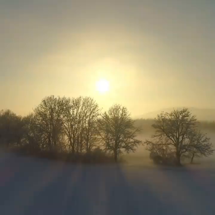 Video post from taucktravel.