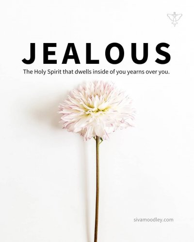 Photo post from drsivamm.