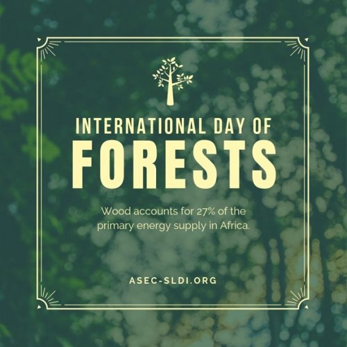 Photo post from asecsldi.