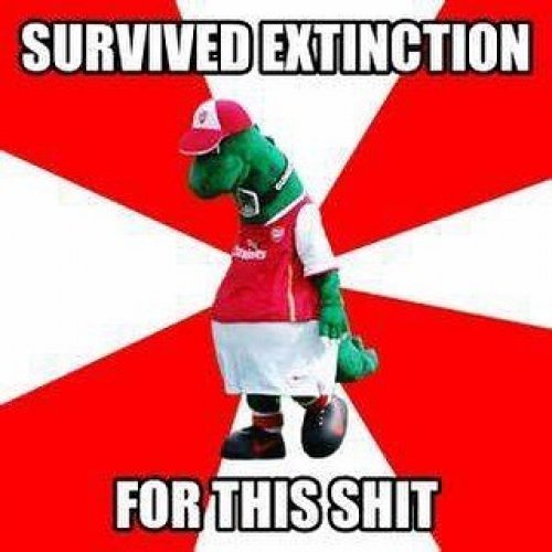 Photo post from charmcitygooners.