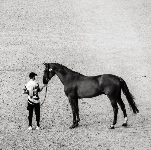 Carousel post from fei_global.