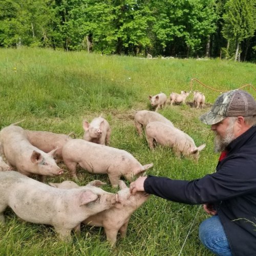 Photo post from hungryhollowfarm.