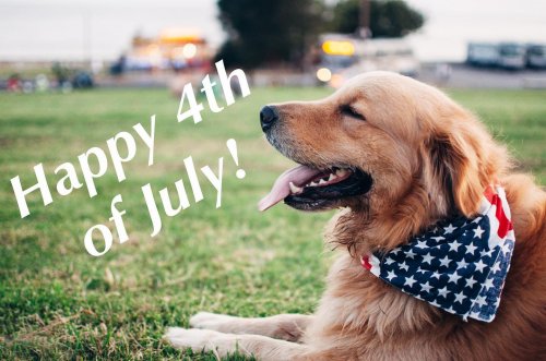 Photo post from familyanimalhospitalcm.