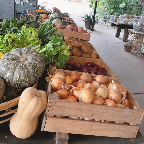 Photo post from currumbinvalleyharvest.