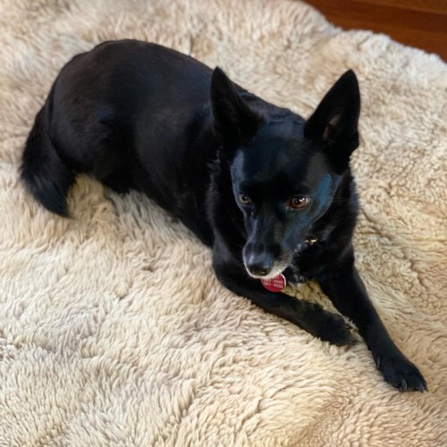 Carousel post from freyaetthor.