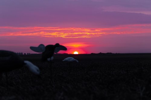 Photo post from northernskiesoutfitters.