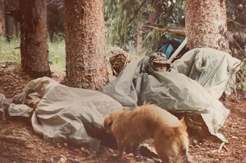 Photo post from trekdirtyto.me.