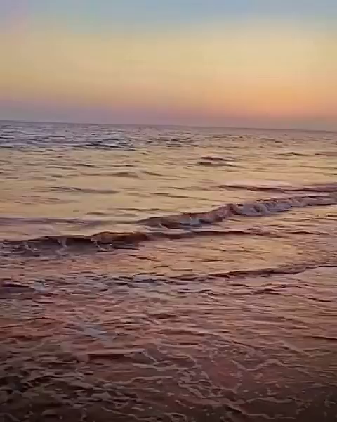 Video post from alizehshahofficial.