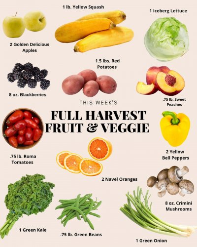 Photo post from farmbox_arizona.