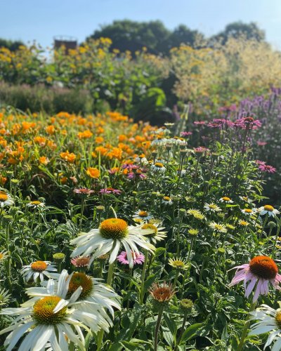 Photo post from sussexprairies.