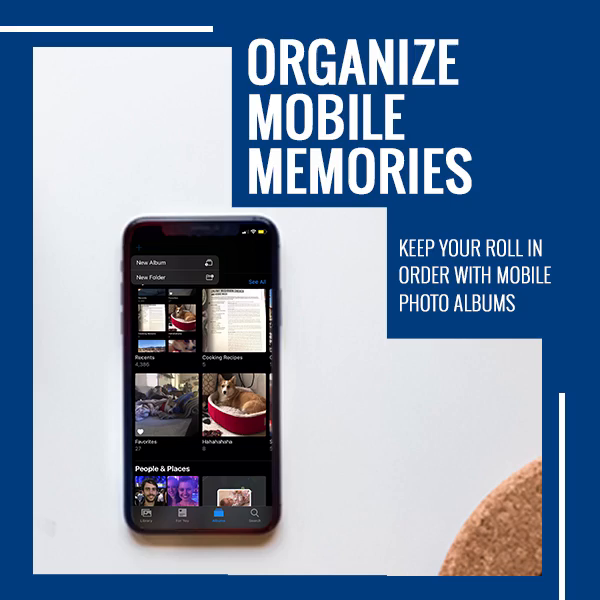 Video post from cardinalcamera1937.