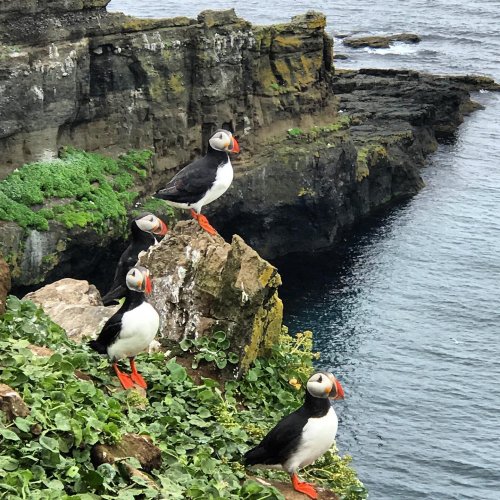 Photo post from taucktravel.