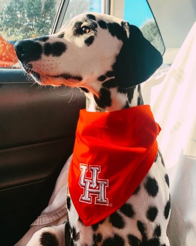 Photo post from uhhousing.