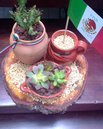 Photo post from la_gifteria.